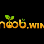 Noob Win