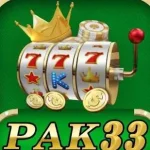 pak33 game