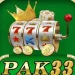pak33 game