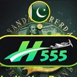 H555 Game